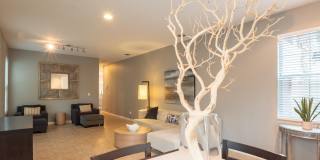 108 Canterbury Place Gallery 11