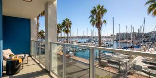 Dolphin Marina Gallery 2