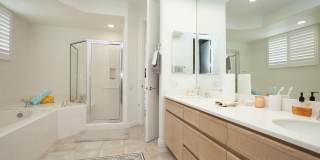 48200 Via Solana Gallery 19