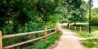 Trellis Pointe Gallery 9