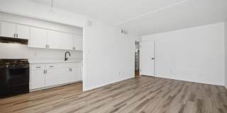 ReNew Biltmore Gallery 19