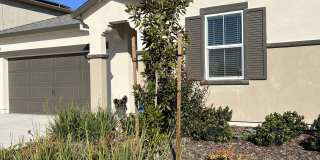 10424 Skynyrd Way Gallery 1