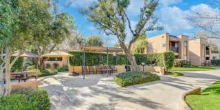 Amber Ridge Gallery 20