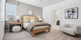 Echo Paired Homes Gallery 72