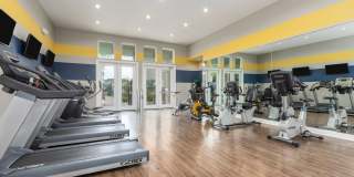 Art Avenue Gallery 25