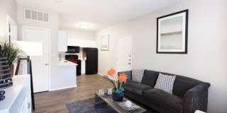 Apex Apartments Apex Apartments Gallery 13