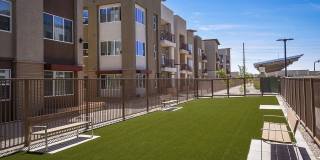 Suncrest Vista at Canyon Trails 55+ Apartments Gallery 6
