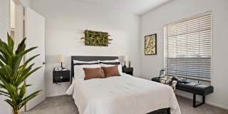 Oak City Apartments Gallery 25