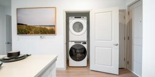 J. Ardin at Apopka Gallery 49