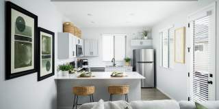 Canopy at Sundance Gallery 30