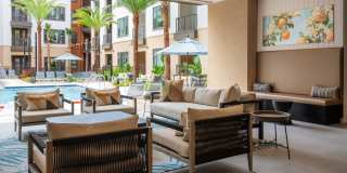 Citron at the Packing District Gallery 36