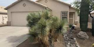 1979 W Cholla Estate Drive Gallery 1