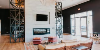 Tanager Tanager Gallery 41