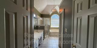 3066 Shadow Green Gallery 4