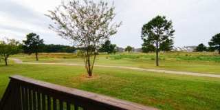Cahoon Plantation Gallery 27
