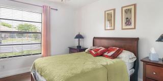 9900 Pineapple Tree Drive Gallery 14