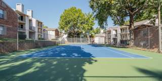 Nolia on the Hill Gallery 20