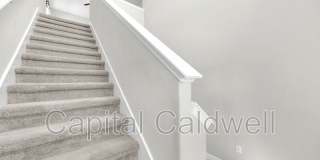 9434 Lemon Drop Loop Gallery 26