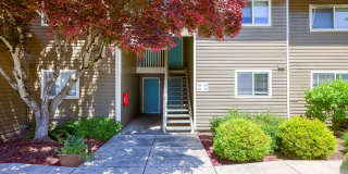 Chalet Apartments Gallery 3