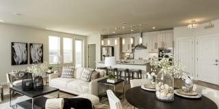 Altair at the Heights Gallery 22