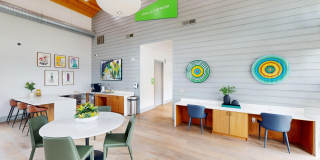 Palo Verde Gallery 4
