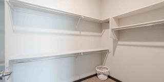 Ironwood at Happy Valley Gallery 45