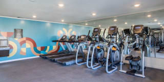 The Lennox Gallery 18