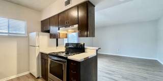 126 Scott St Gallery 5