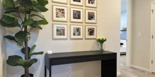 9139 Widden Way - 1 Gallery 16
