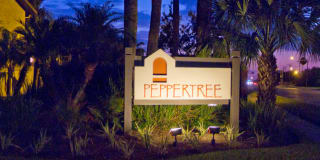 Peppertree Apartments Gallery 3