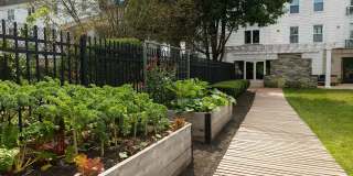 Avana Cliffside Gallery 17