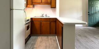Freshly Painted 1 bed 1 bath with new floors located in a pretty wooded setting Gallery 1