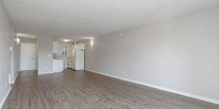 The Maples Gallery 7