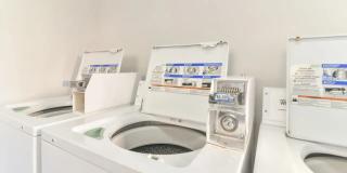 Knoll Creek Gallery 3