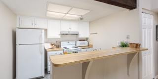2 bed 1 bath home w/ garage and yard, biking distance to UC Davis campus and downtown Gallery 12