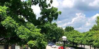 29 STONEHENGE CIR #1 Gallery 1