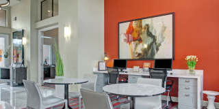 Mirador Gallery 14