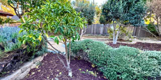 COMING SOON... Beautiful Single-Story Claremont Home | Spacious Floor Plan | Indoor Laundry | Prime Location Gallery 28