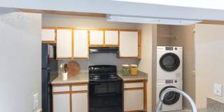 Prosper Jackson Prosper Jackson Gallery 6