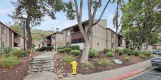 5462 Adobe Falls Rd #8 Gallery 17