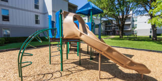 Biltmore Biltmore Gallery 62