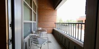 Settlement Place Gallery 329