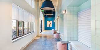 The Baxly Gallery 24