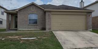 25714 Gold Yarrow Gallery 1