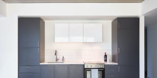 The Harlo Gallery 29