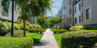 Bridgepointe Apartment Homes Gallery 31