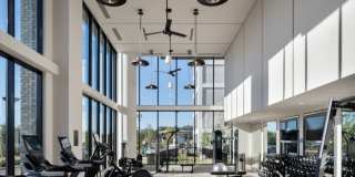 Oro Ballantyne Gallery 35