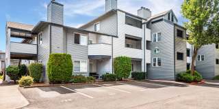 Mountain Meadows Gallery 31