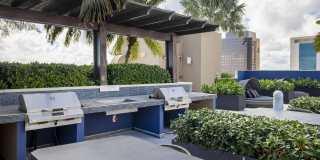 Vu New River Vu New River Gallery 20