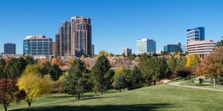 Arcadia Apartments Gallery 11